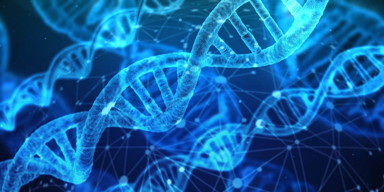 entdecken sie die neuesten innovationen in verschiedenen branchen. bleiben sie informiert über bahnbrechende technologien und kreative lösungen, die die zukunft gestalten.